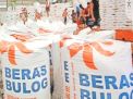 Catatan Produksi Beras 2025 (Bagian 2)