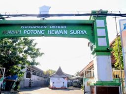 PPSDS Jatim Relokasi RPH Pegirian Tak Boleh Dikendalikan Kepentingan Lahan