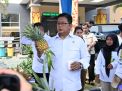 Gelar Festival Nanas, Wamen Viva Yoga Dorong Nanas Jadi Komoditas Unggulan Dari Kawasan Transmigrasi
