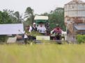 Panen Raya Padi di Telang, Wamen Viva Yoga: Kawasan Transmigrasi Berkontribusi Menjadi Lumbung Pangan
