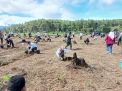 300 Peserta Tanam Pohon di Sumberwringin, PWI Bondowoso Gaungkan Sedekah Oksigen di HPN 2026