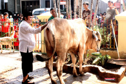 Makna Kurban Rhoma Irama dalam “Voice of Moslem”