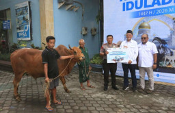 Pastikan Memberi Dampak, Pelindo Regional 3 Sebar 209 Hewan Kurban