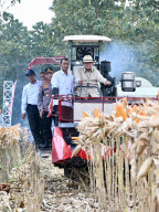 Presiden Prabowo Hadiri Panen Raya Jagung Di Tuban Untuk Pastikan Indonesia Swasembada Beras Dan Jagung