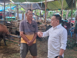 Soal Temuan Skabies Hewan Kurban, Legislator PDIP Desak Kelurahan Aktif berkoordinasi dengan DKPP