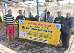 Idul Adha 1447 H, Zulfikar Arse Salurkan 18 Sapi Kurban untuk Warga Banyuwangi, Situbondo, dan Bondowoso