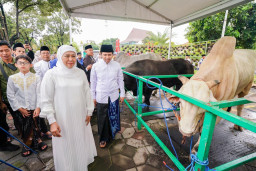 Khofifah dan Emil Dardak Bersama Keluarga Ikuti Salat Idul Adha di Masjid Nasional Al Akbar Surabaya