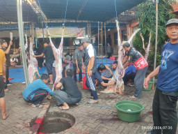 Teladani Ajaran Nabi Ibrahim, SMAN 4 Sidoarjo Kurban 3 Sapi dan 6 Kambing.