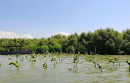 TPS Perluas Program “Donasi Oksigen” melalui Penanaman Mangrove di Pesisir Romokalisari Surabaya