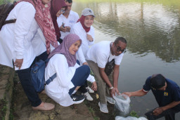 Ancaman Ikan Lokal Meningkat, STIP Malang Lakukan Restocking di Sungai Amprong