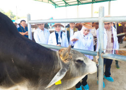 Khofifah Apresiasi BBIB Singosari Malang Telah Berhasil Siapkan Semen Beku Sapi Wagyu dan Belgian Blue dan Jenis Lainnya