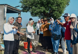 Perkuat Dukungan Program Ketahanan Pangan Fathoni Dorong Perbaikan Akses Tambak Medokan Ayu