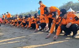Ditandai Pelepasan Ratusan Tukik, Gelar Peralatan Jatim 2026 di Pacitan Resmi Dibuka