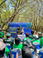 PNM Tanam 22.000 Mangrove, Perkuat Ekonomi Masyarakat Pesisir