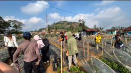 Mahasiswa Jepang Pelajari Pemulihan Pascabencana di Serang Purbalingga, Gandeng Komunitas Lokal