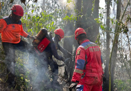 Buleks Apresiasi DPKP Surabaya, Turun Bantu Karhutla Bromo hingga Mojokerto