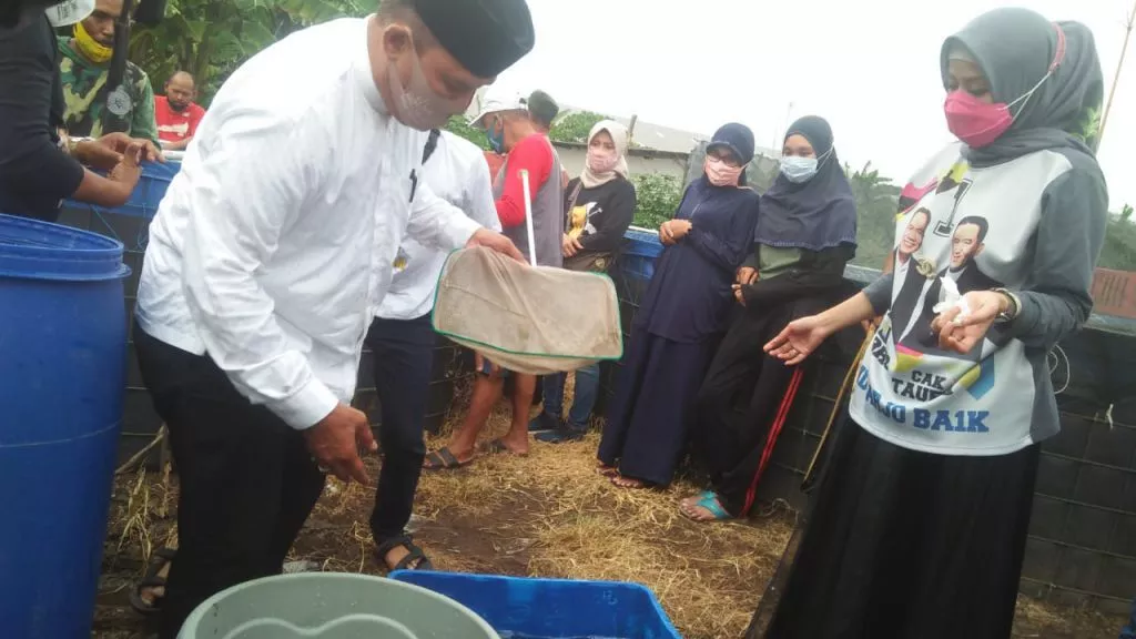 BHS Bersama Warga Ikut Panen Raya Ikan di Buduran