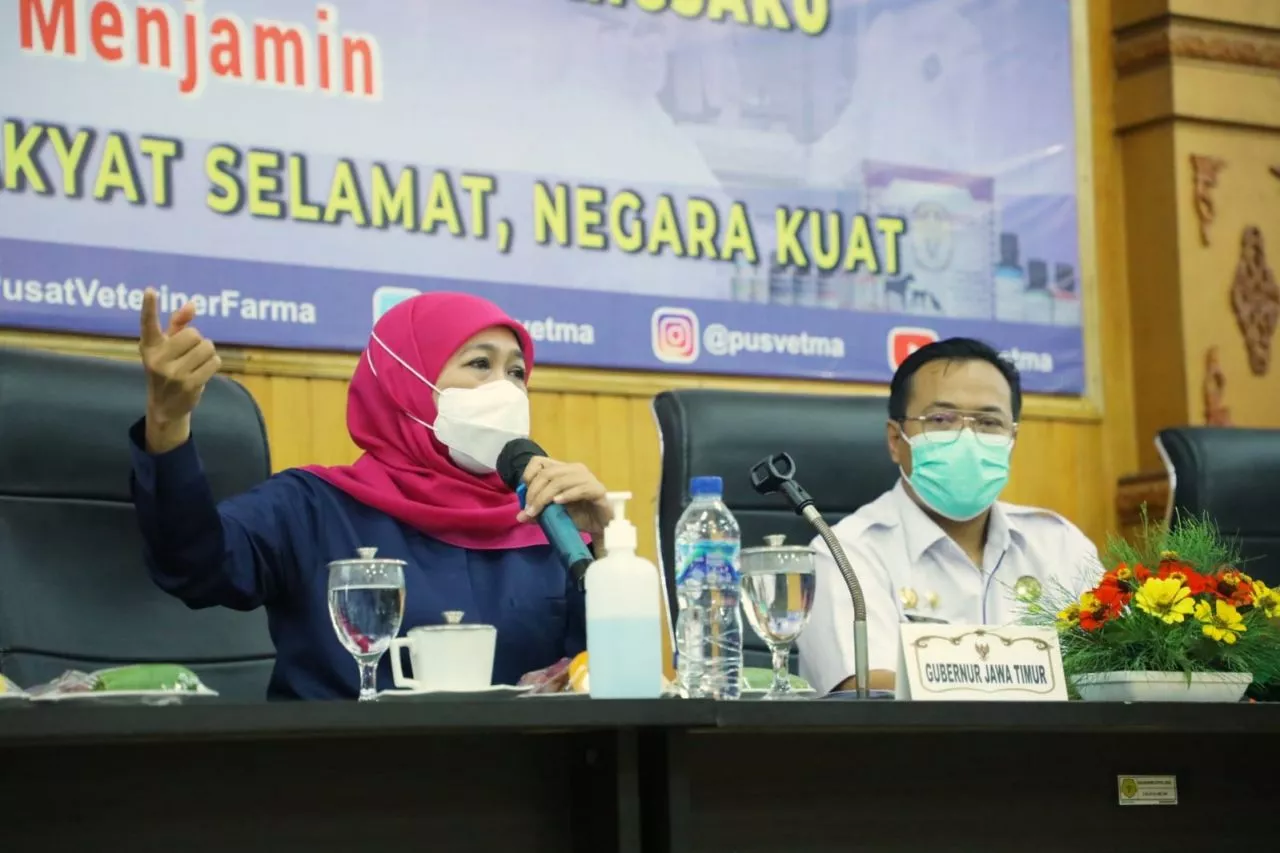 15 Kabupaten Dan Kota DI Jawa Timur Zona Hijau PMK Tetap Bisa Suplai Kebutuhan Daging Sapi
