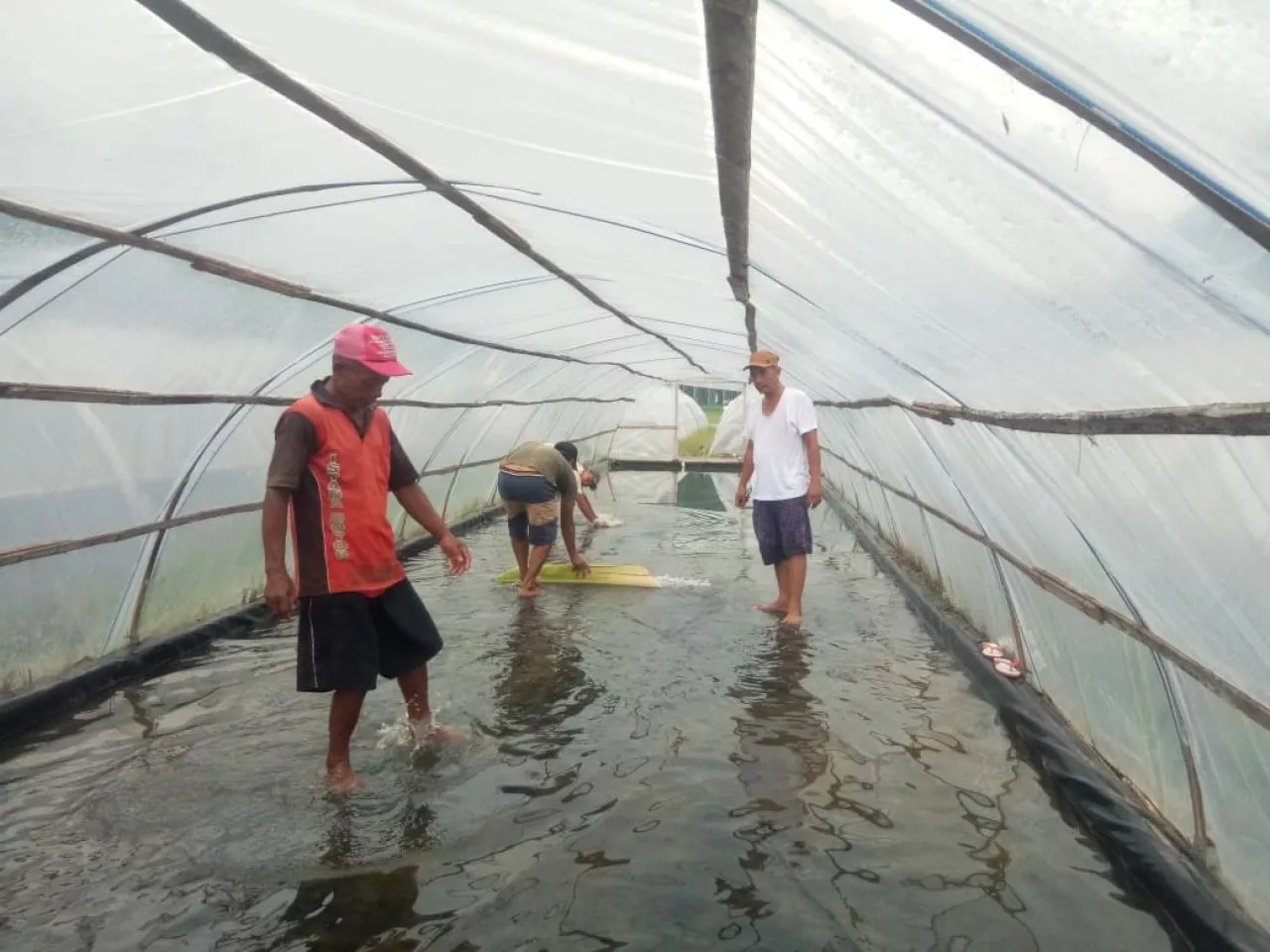 Pantai Selatan Kabupaten Malang Mulai Produksi Garam