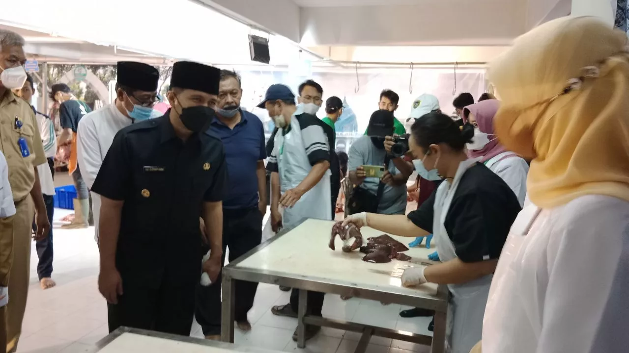 Plt Gubernur Jatim Tinjau Penyembelihan Hewan Qurban