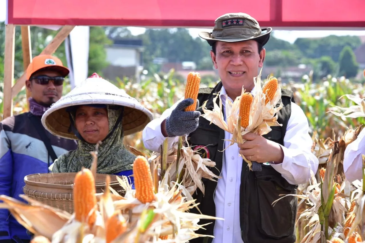 BNPT Selenggarakan Panen Raya Perdana Kawasan Terpadu Nusantara (KTN) di Turen