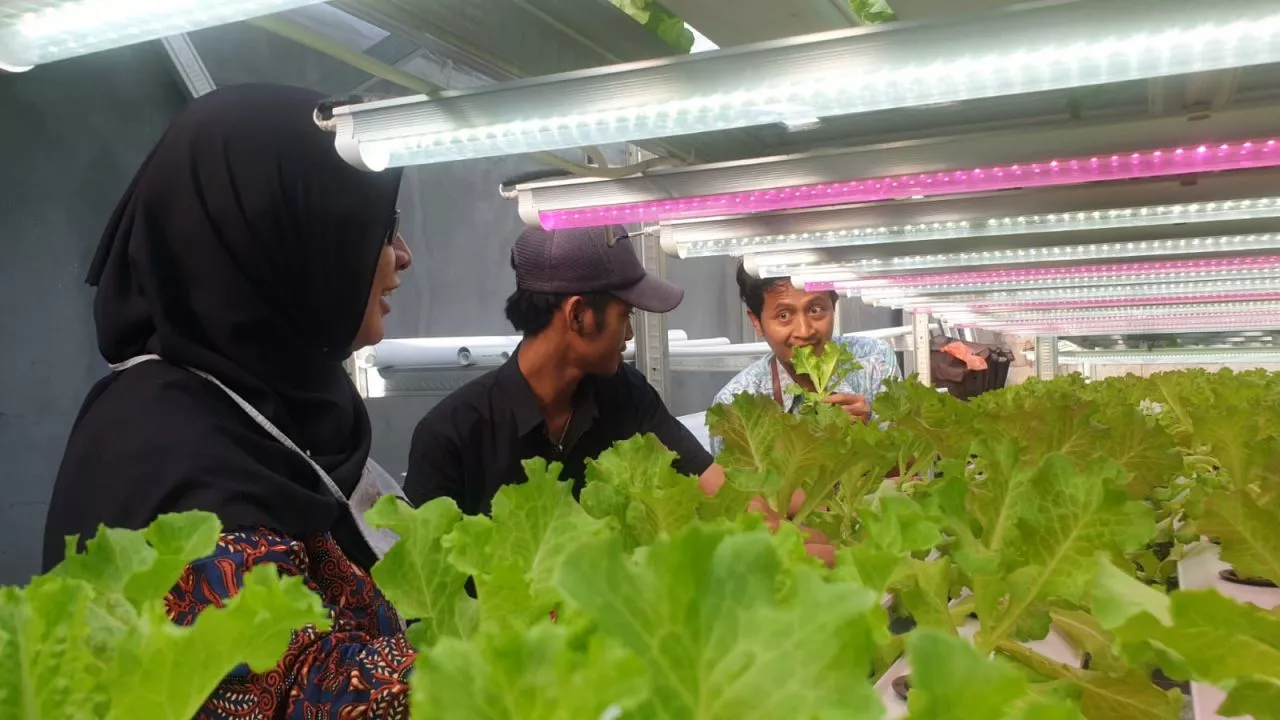 Peningkatan Produktivitas Pertanian Melalui Penggunaan Teknologi Serta Digitalisasi