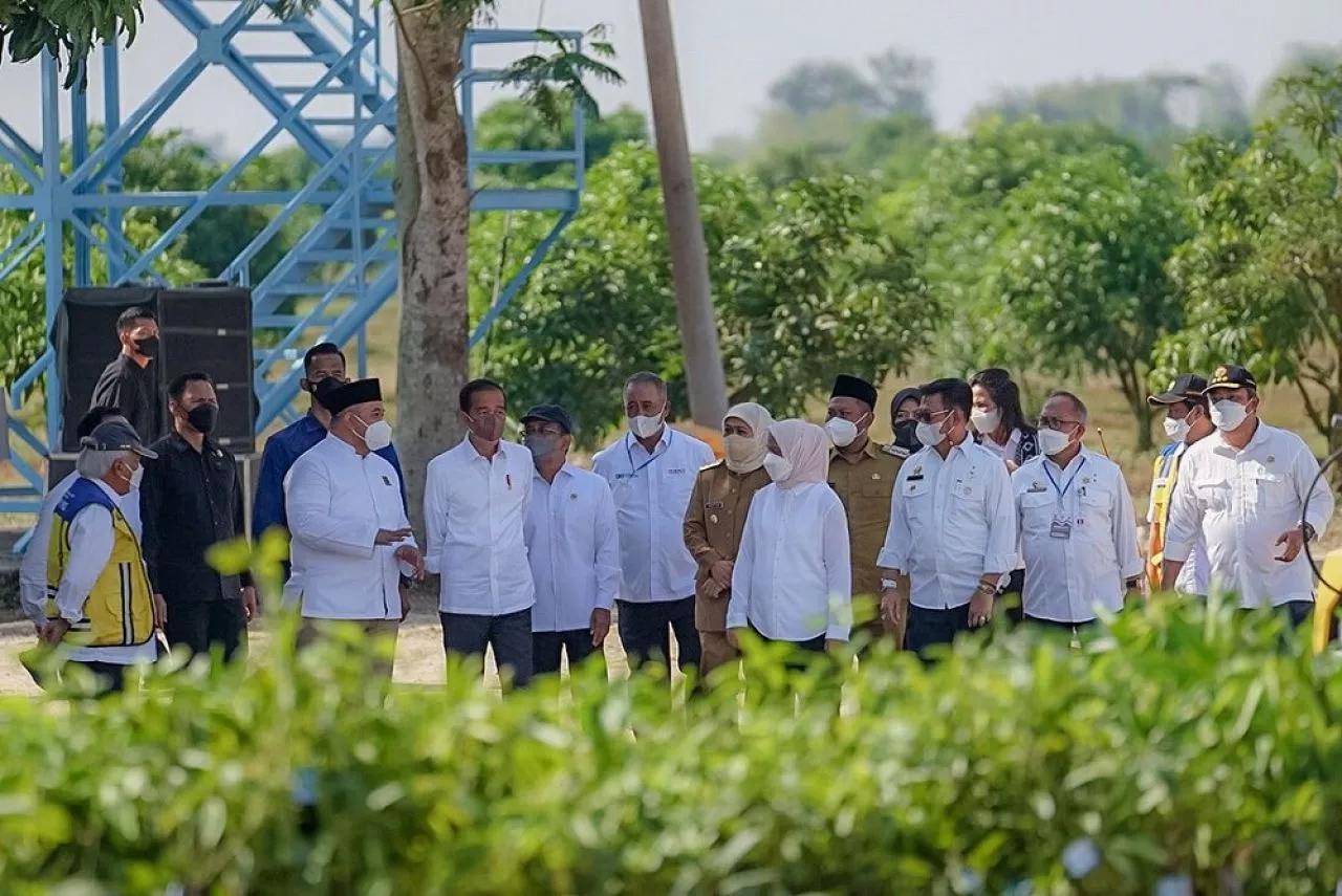 Kehadiran Offtaker Pada Food Estate Mangga Akan Ungkit Kesejahteraan Petani.