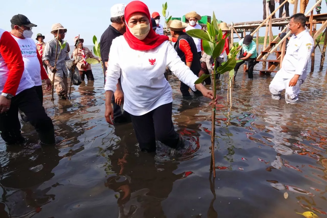 Sedekah Oksigen melalui Festival Mangrove I Tahun 2022