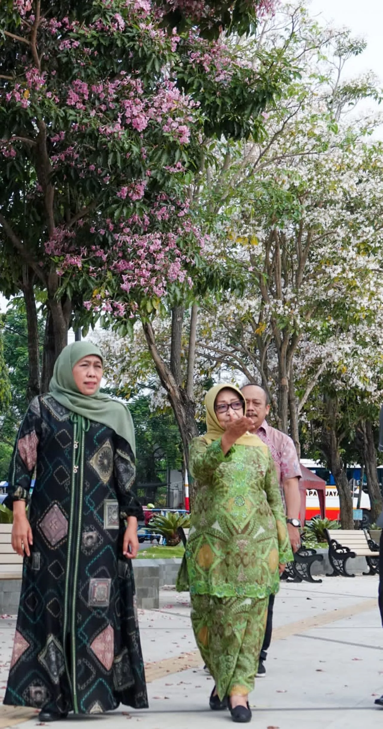Bunga Tebebuya Alun-alun Jombang Bikin Takjub, Khofifah: Seperti Menikmati Bunga Sakura di Jepang