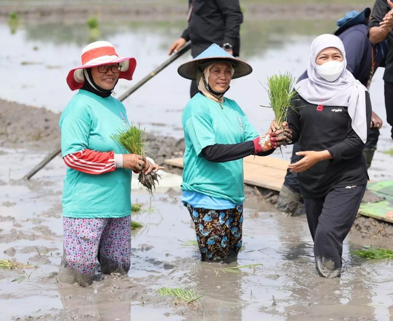 Nilai Tukar Petani Jatim Makin Terdongkrak, Naik 103,33