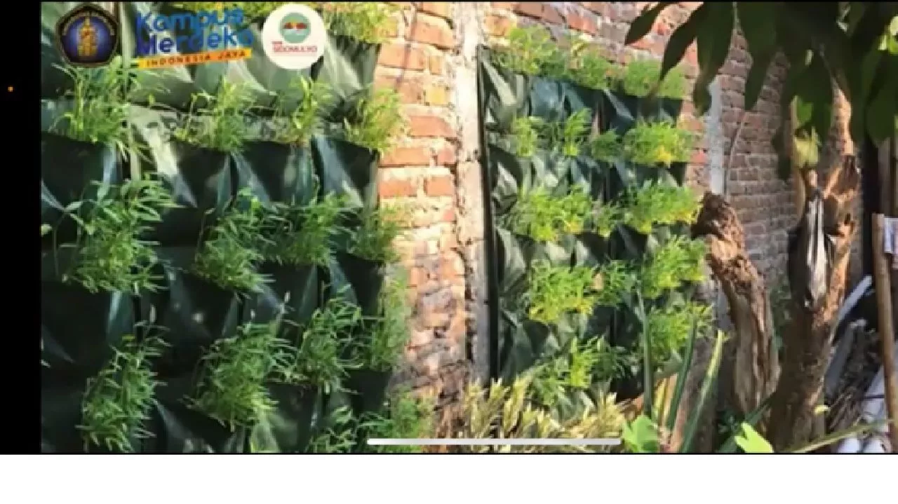 Mahasiswa KKN PSDKU UB Ajarkan Pembuatan Taman Sayur Dengan Pola Vertical Plan