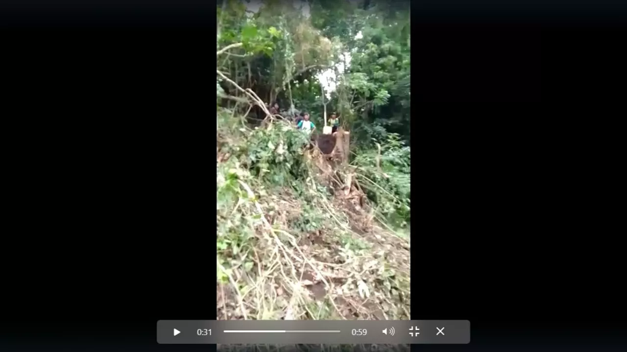 Pembalakan Liar di Lereng Gunung Tambora Terkesan Terjadi Pembiaran