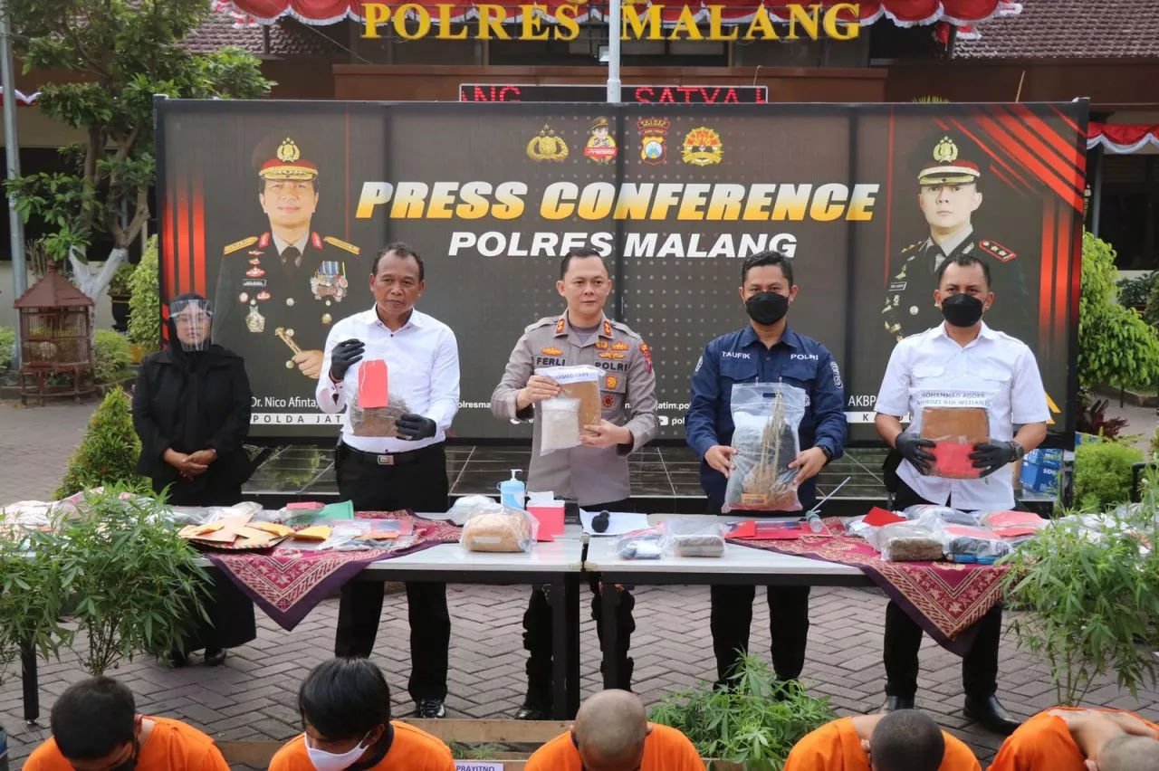 Polres Malang Berhasil Ungkap Kebun Ganja Seluas 1 Hektare di Lereng Semeru