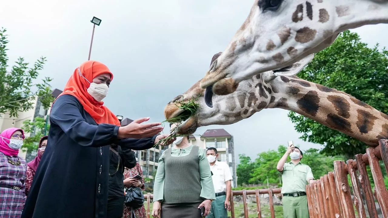 Data BPS Kunjungan Wisman ke Jatim 2022 Naik Hingga 5.000 Persen Lebih, Sektor Pariwisata Bangkit