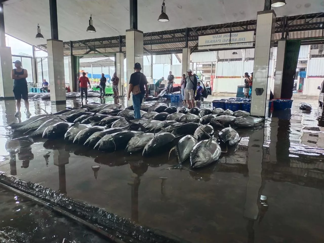 Membuang Limbah B3 Ke Laut ?