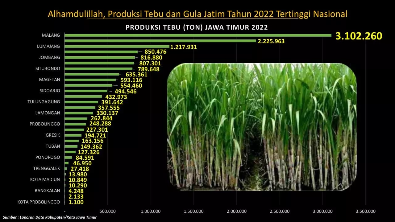 Produksi Gula dan Tebu Jatim Sumbang 49,55 % Produksi Nasional
