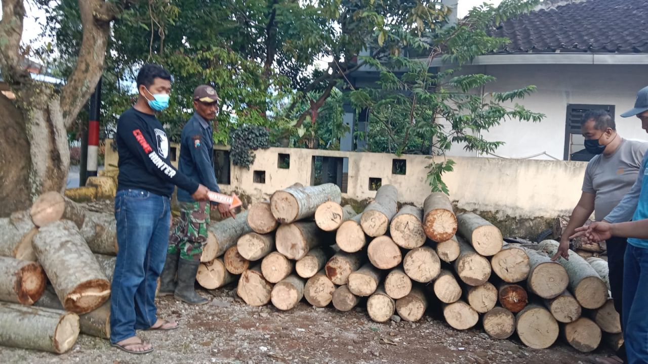 Pelaku Pencurian Kayu Balsa, Diamankan Polsek Mumbul sari