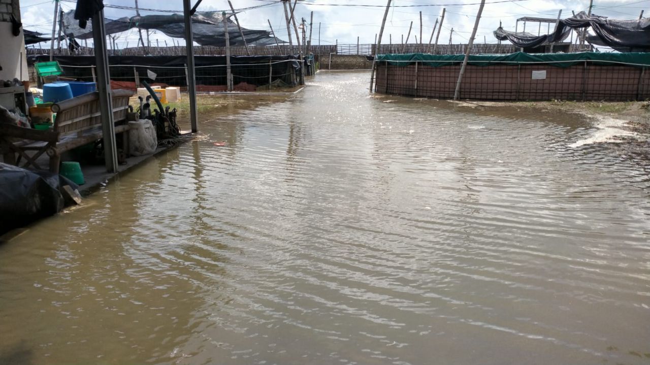 Pemerintah Harus Segera Tangani Banjir Rob Yang Menerjang Pesisir Wilayah Utara Pulau Jawa