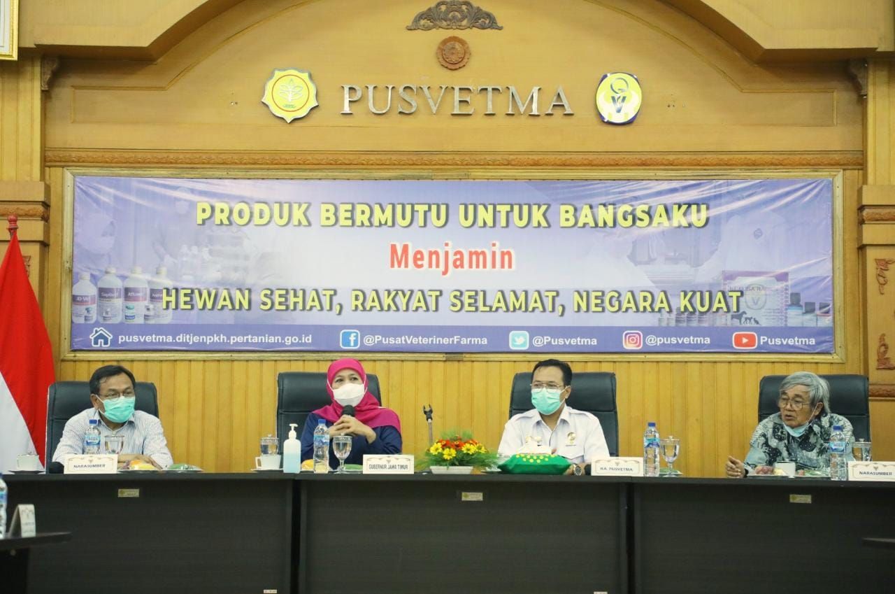 Pusat Veteriner Farma (PUSVETMA) Surabaya Siapkan Pengembangan dan Produksi Vaksin PMK untuk ternak