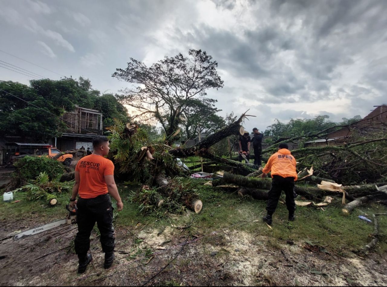 Dilanda Angin Puting Beliung Atap Rumah Beterbangan, Kandang Ayam  Rusak Parah
