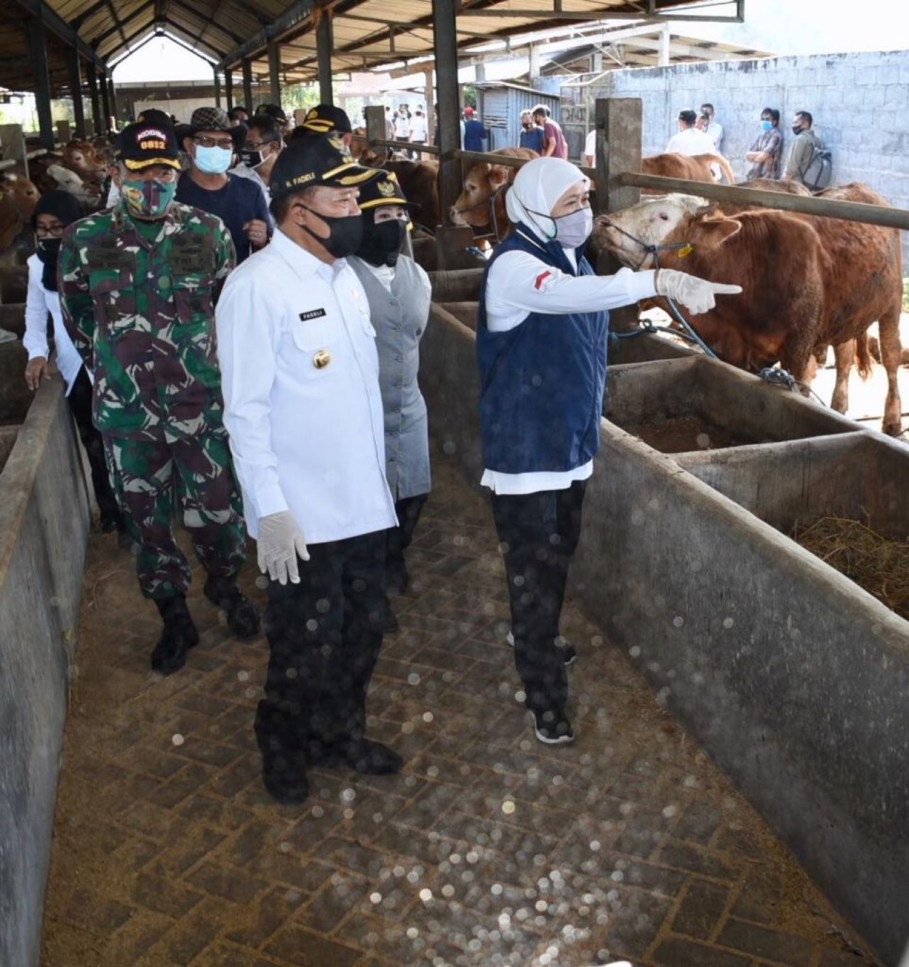 Jatim Siapkan 1.276 Juru Sembelih Halal (JULEHA)  Di Idul Adha  1443 H Tahun 2022