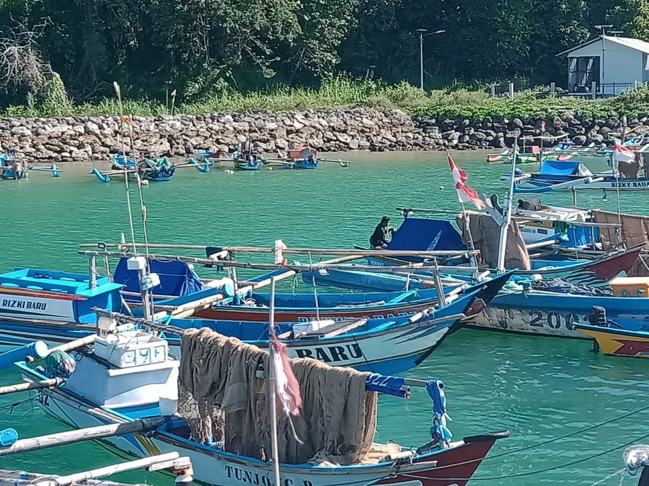 Tuna Rasa Baby Lobster