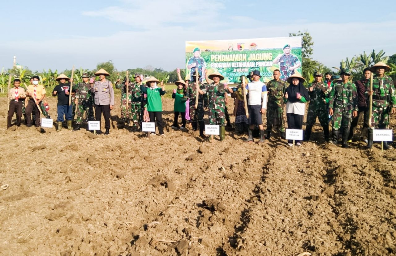 Kodim 0813 Bojonegoro Lakukan Tanam Jagung Bersama
