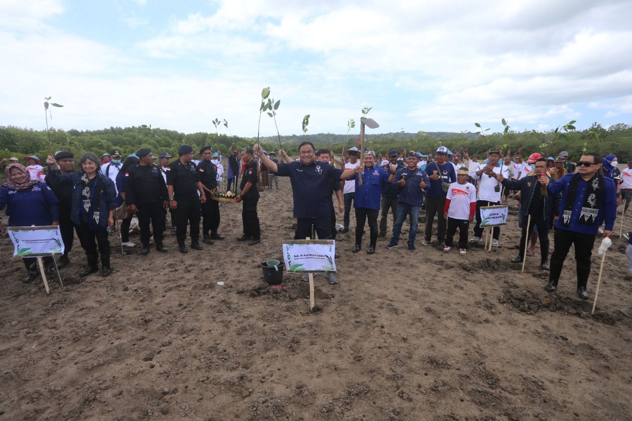 Perayaan HUT ke-77 RI di Banyuwangi, NasDem Jatim Gelar Jalan Sehat dan Tanam Mangrove