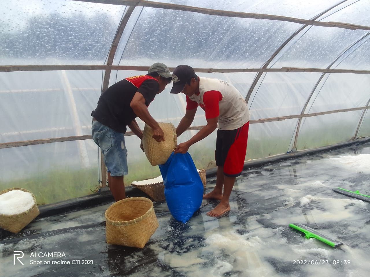 Panen Garam Kelompok Usaha Garam (Kugar) Bajulmati Sejahtera di Pantai Selatan Kabupaten Malang Jawa Timur 