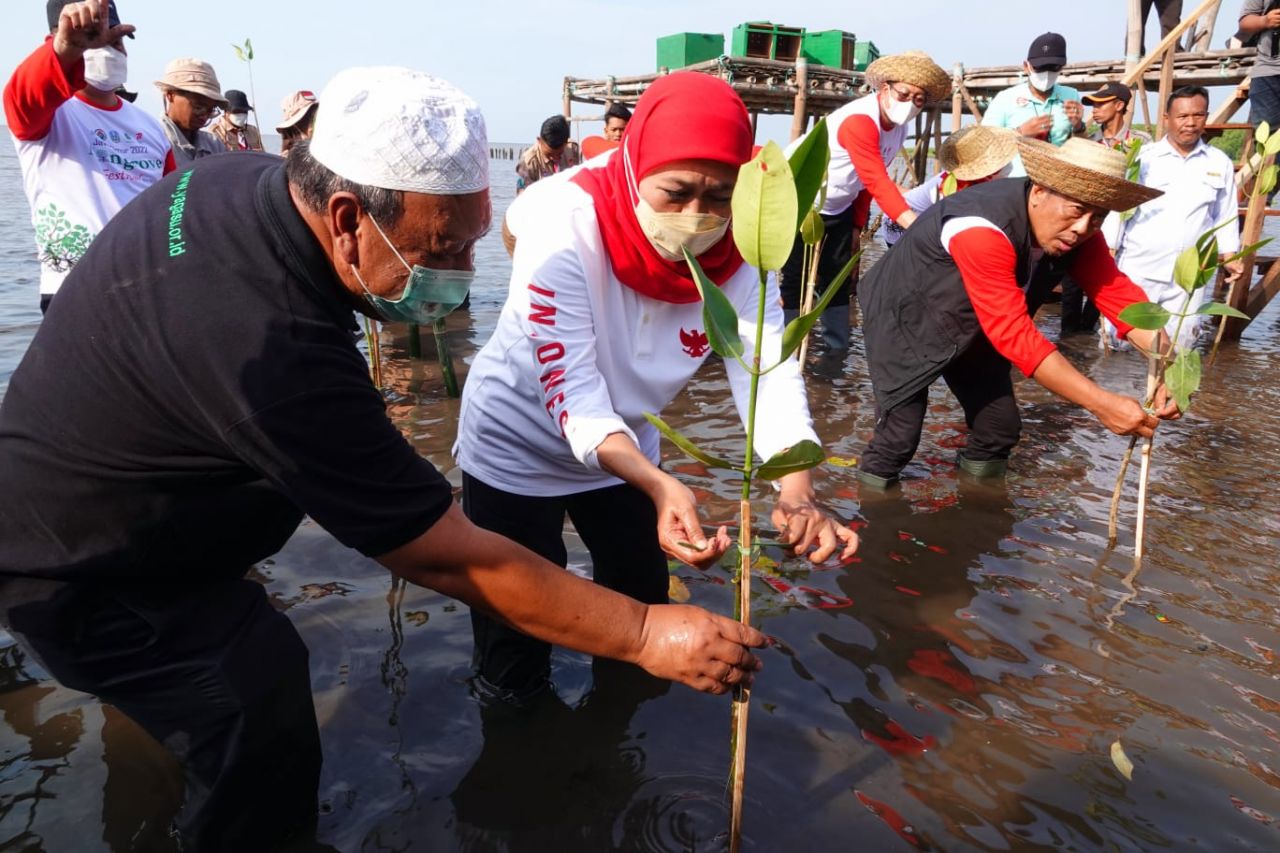 Festival Mangrove Jawa Timur ke I Tahun 2022, Burung pecuk dan Burung Ibis ikut di lepasliarkan
