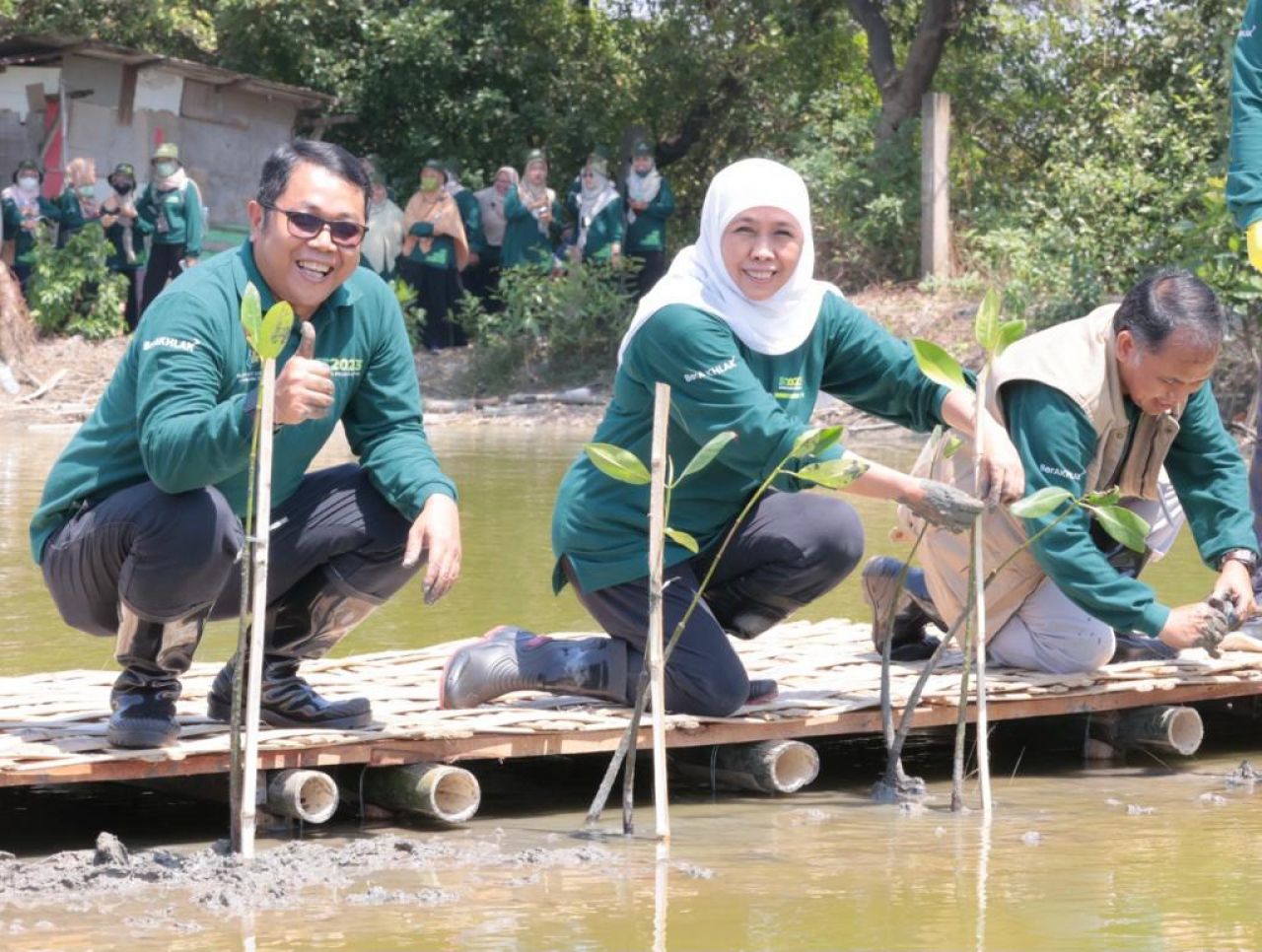 Nandur Mangrove Bersama Kepala BPS Jatim dan Gubernur Khofifah