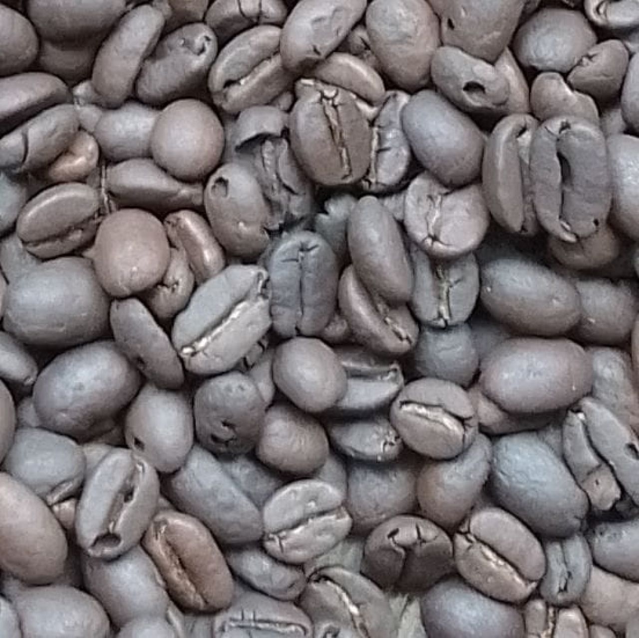 Berkah Bumi Aku Panen Malam Ini