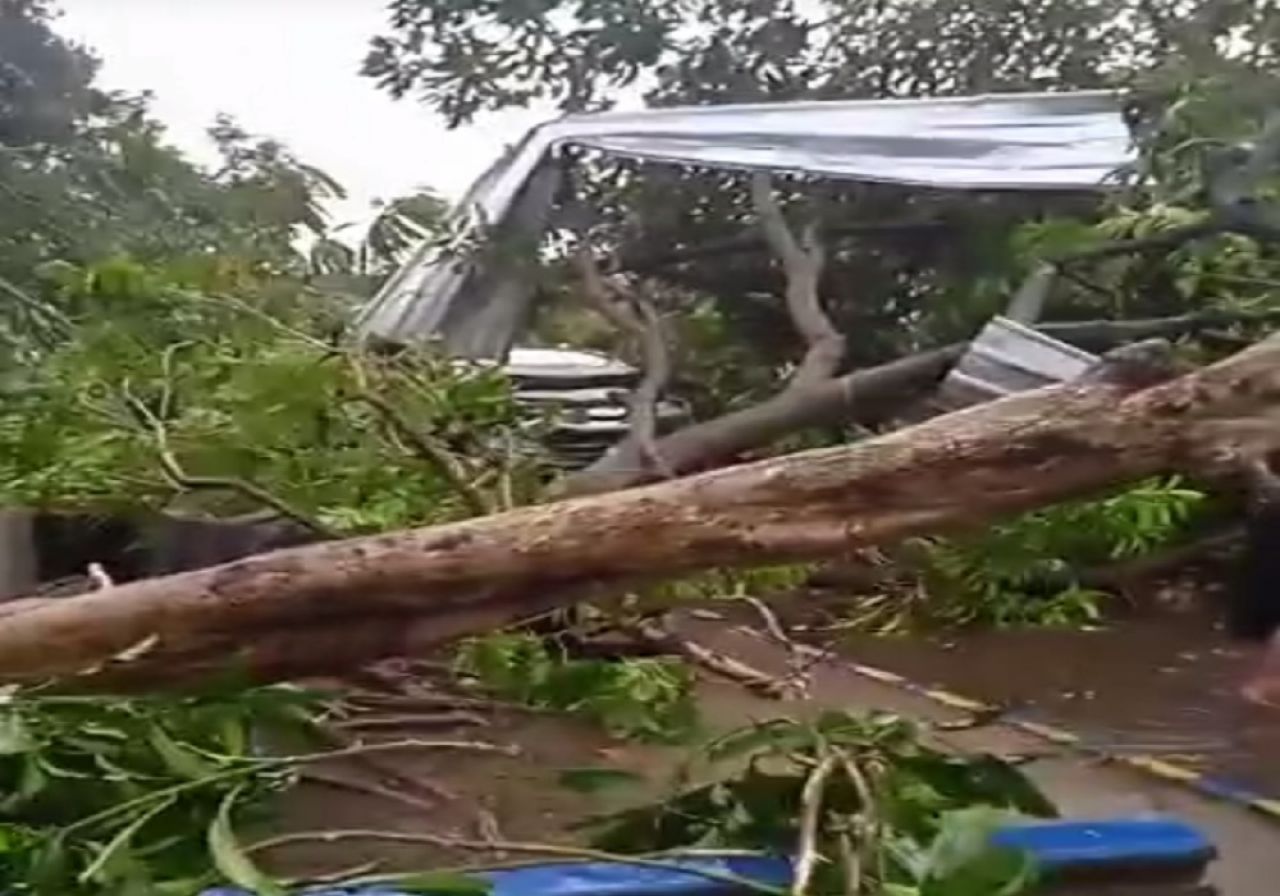 Hujan Deras Dan Angin Kencang Melanda Sidoarjo Menyebabkan Pohon Tumbang Dan Atap Rumah Terbang