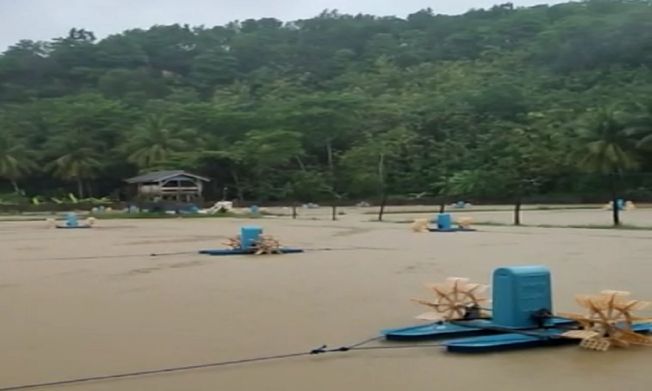 Tambak Udang di kabupaten Pacitan yang diterjang air banjir.Sabtu (8/10/2022)